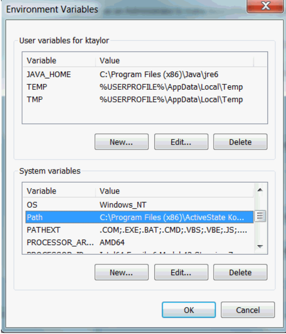Windows Environment Variables
